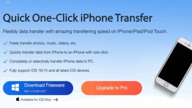 Best iPhone Transfer Software for Windows