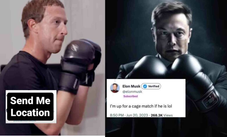 Elon Musk vs Mark Zuckerberg UFC Fight Is Dead Serious