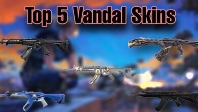 Top 5 Vandal Skins in Valorant